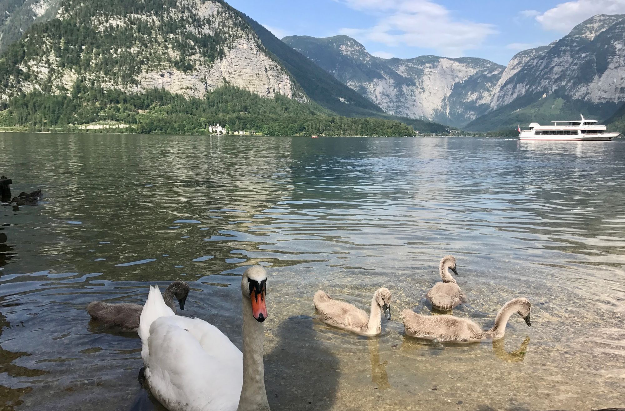 Hallstätter See