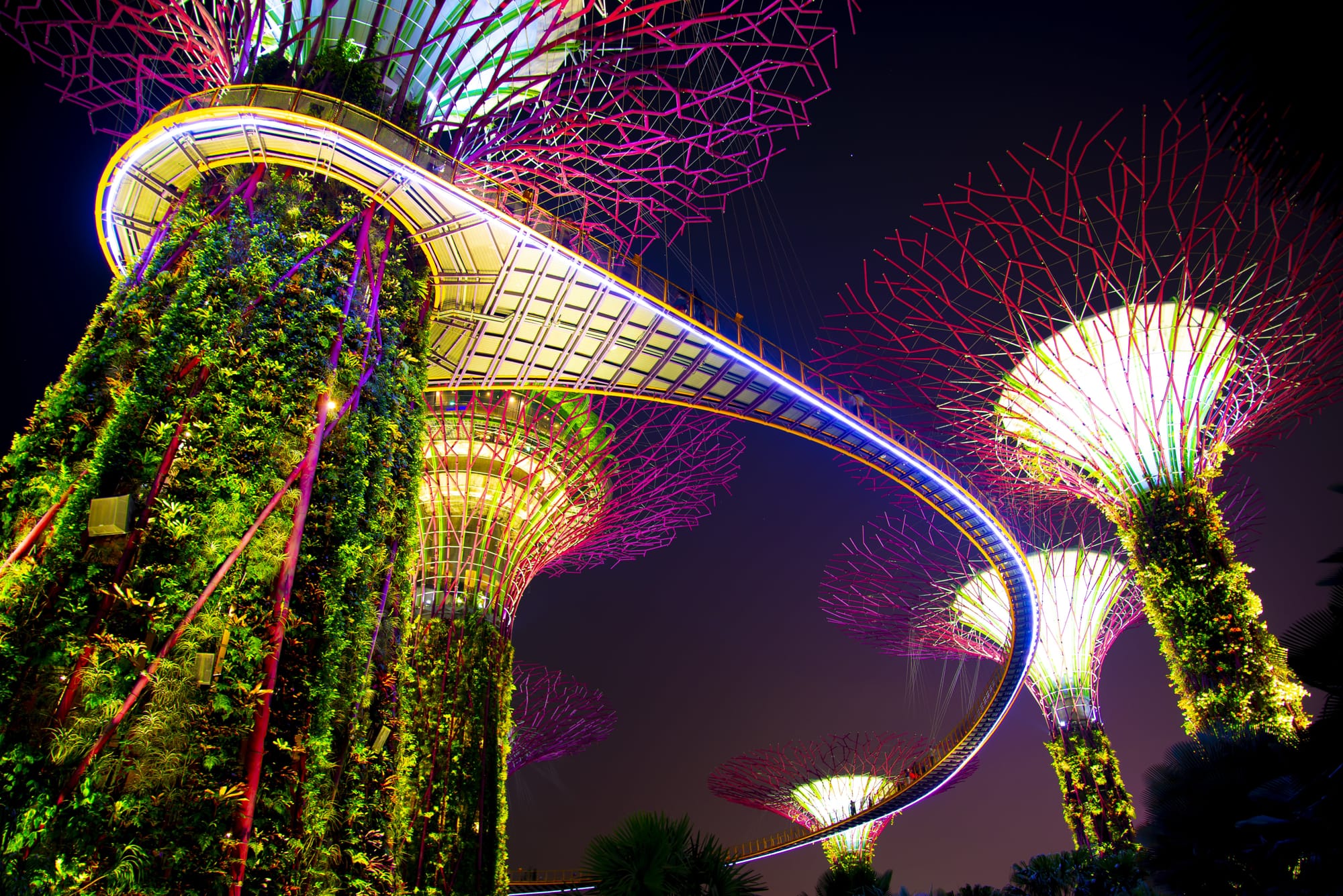 Gardens By The Bay Light Show
