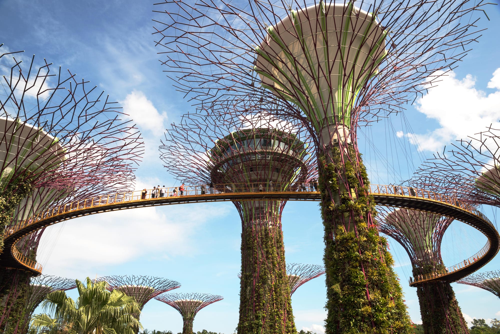 Gardens By The Bay OCBC Skyway