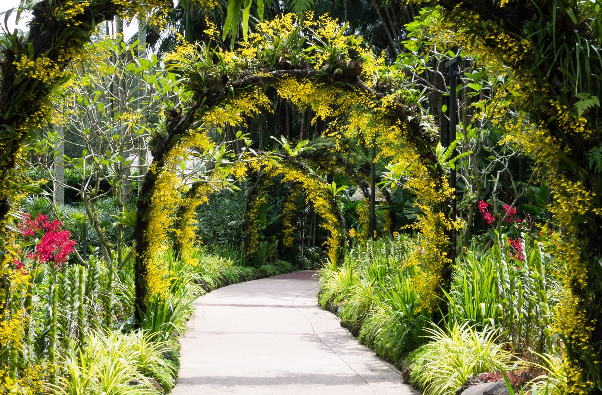 Singapore Botanical Gardens