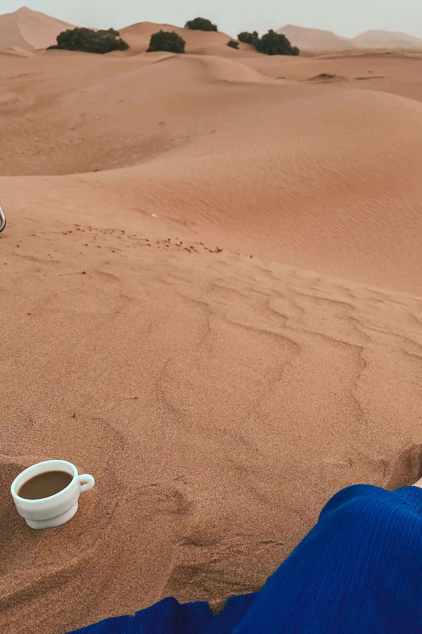 Morning coffee tucked in the sand in the Sahara Desert with dunes in the distance.