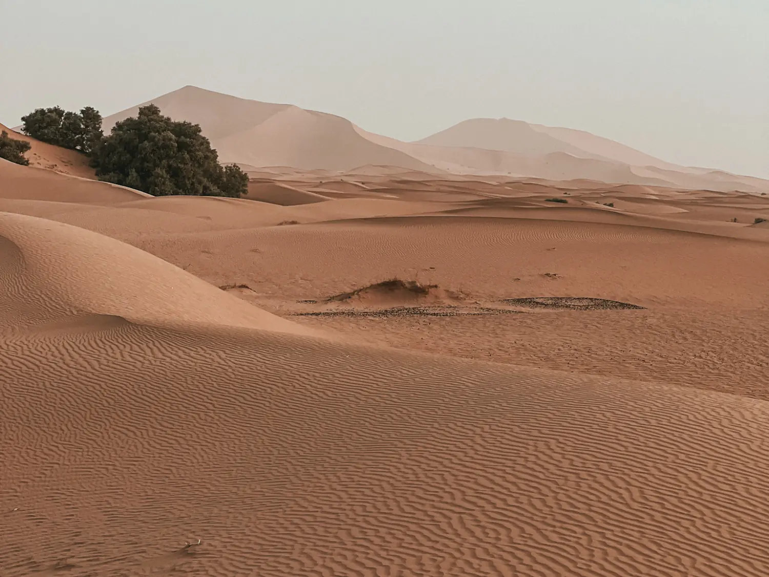 The dunes of the Sahara Desert stretching for miles in the distance.